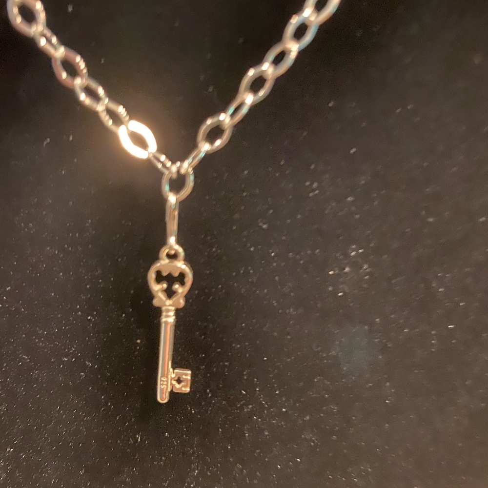 Alex & Ani Skeleton Key Charm Anthropology Chain